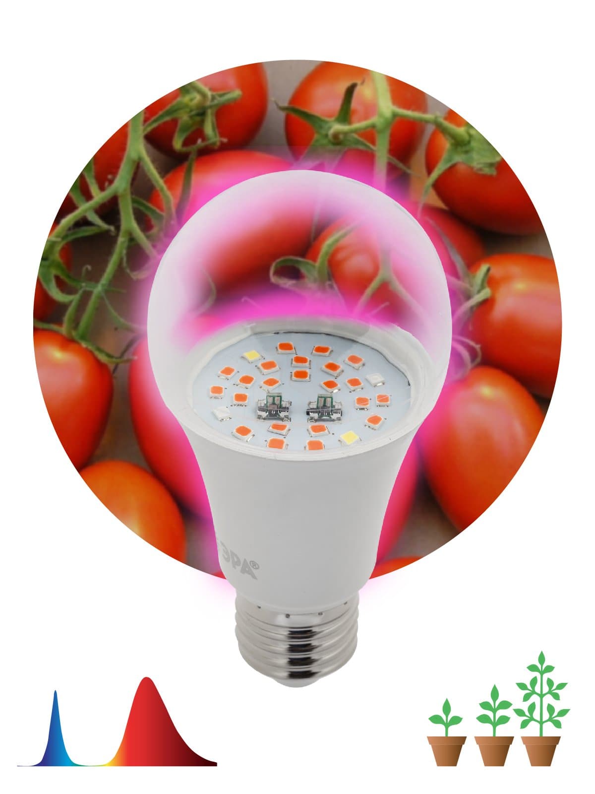 ЭРА Фитолампа для растений светодиодная FITO-10W-RB-E27 красно-синего спектра