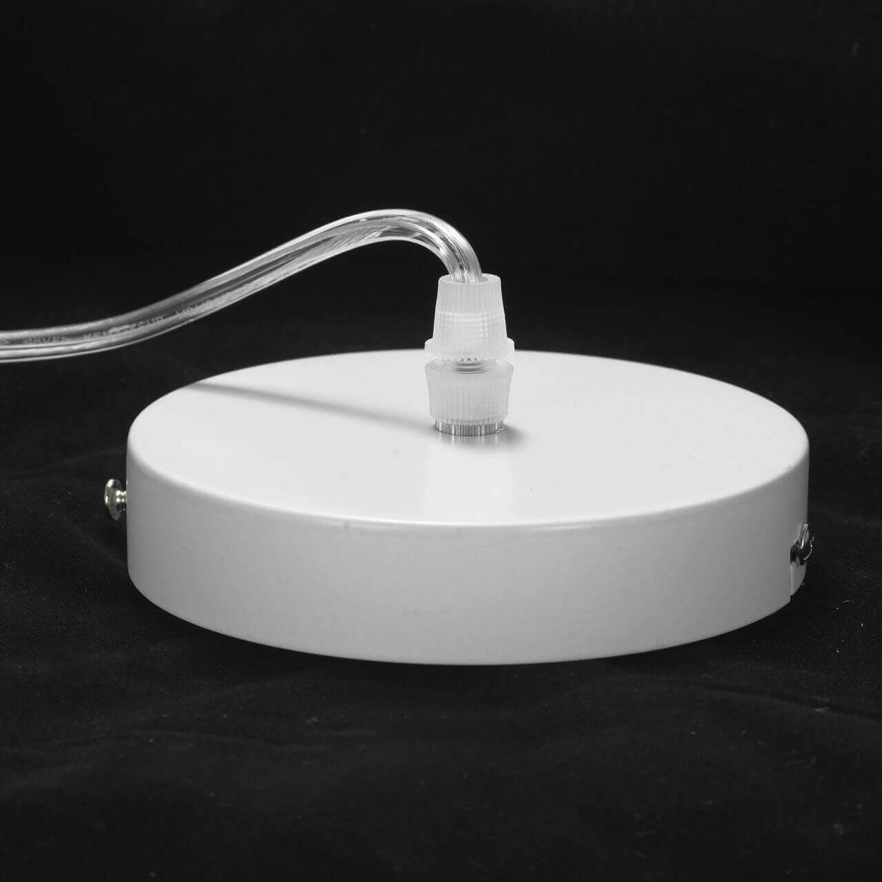 Lussole Светильник LSP-8268 — миниатюра 3