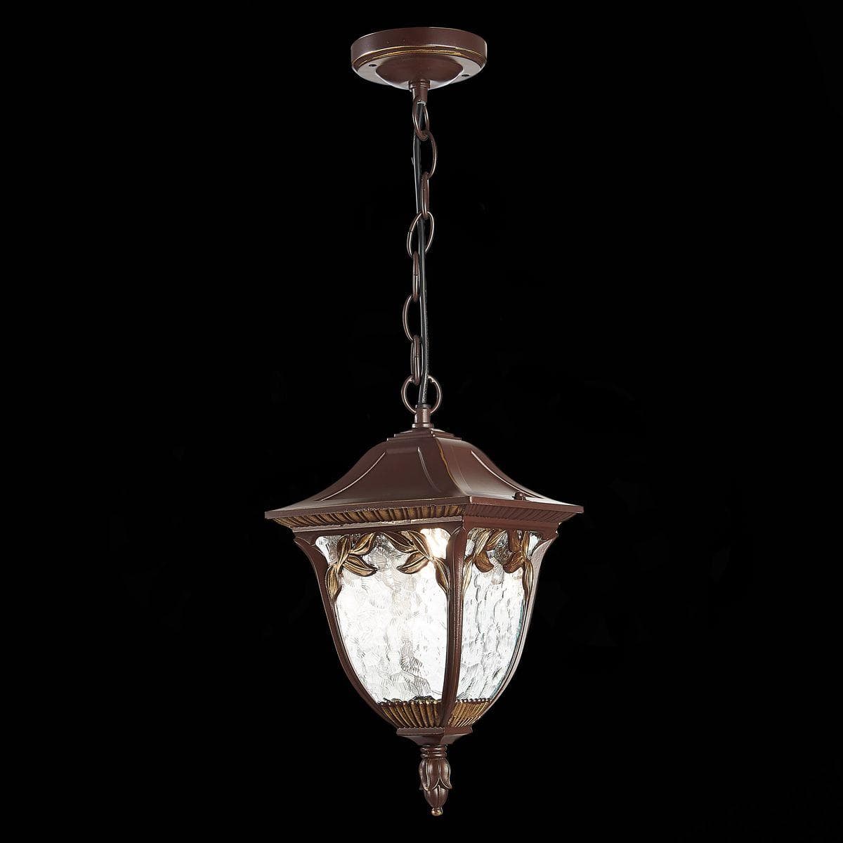 ST Luce SL083.703.01 Светильник уличный подвесной Кофейный/Кофейный, Прозрачный E27 1*60W — миниатюра 3