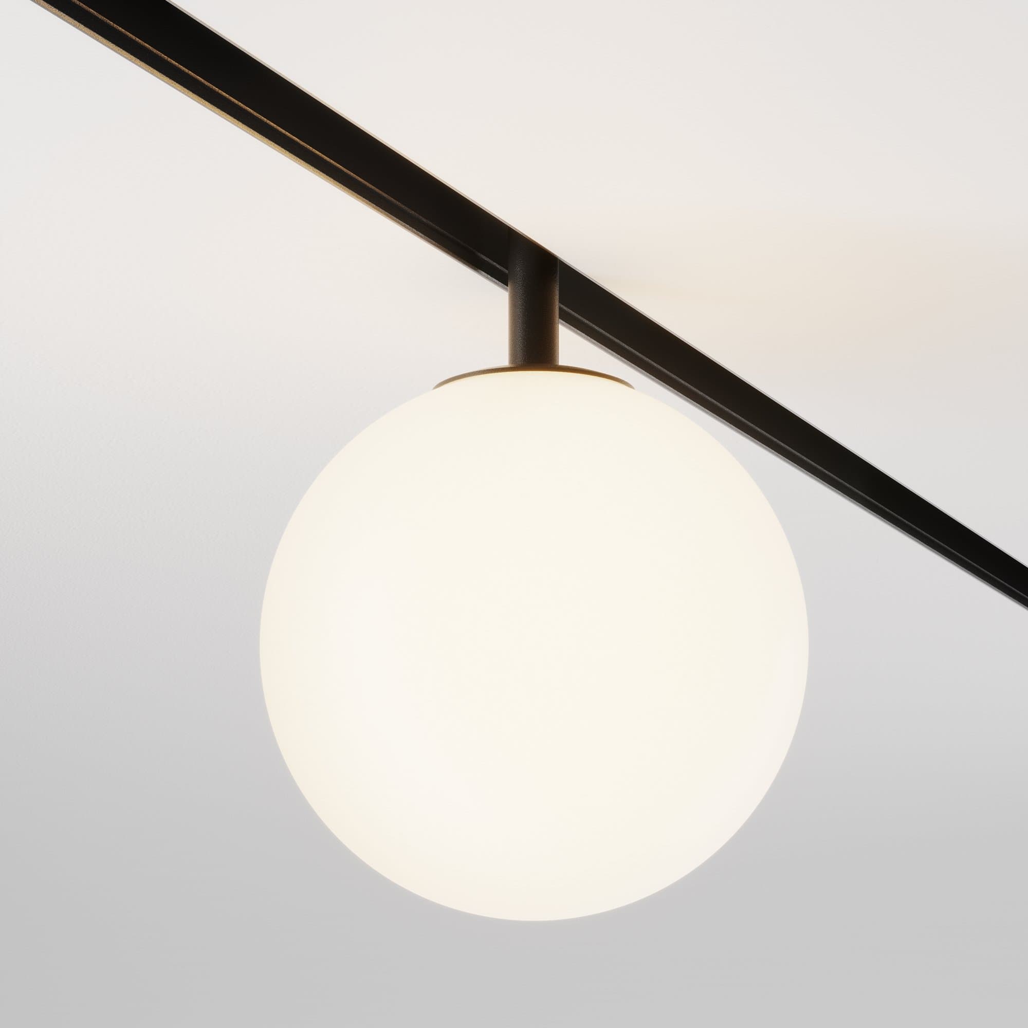 Maytoni Трековый светильник Черный Luna TR038-2-5W3K