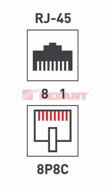 Розетка компьютерная 2-порта RJ-45(8P8C), категория 5е, внешняя Rexant 03-0151 — миниатюра 3