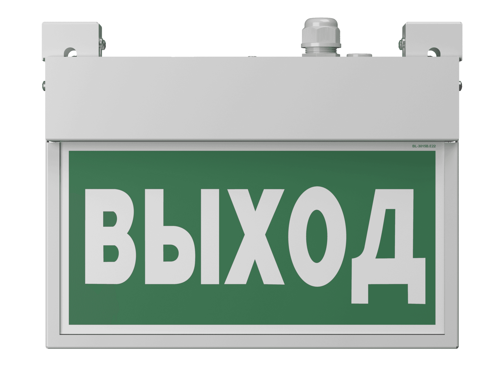 Белый свет Световой указатель BS-FLAG-10-S1-ELON a17019 — миниатюра 3