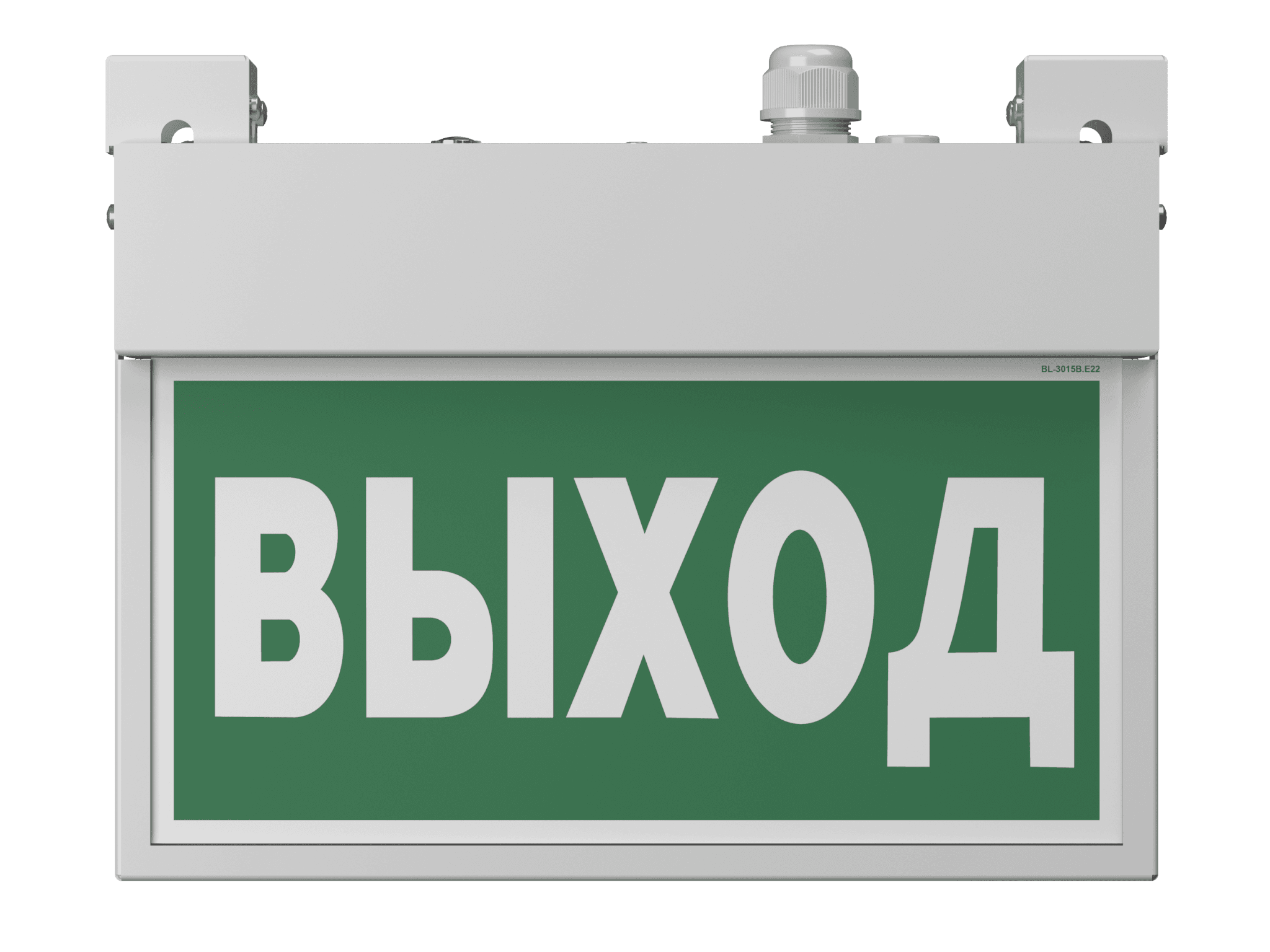Белый свет Световой указатель BS-FLAG-71-S1-INEXI3-MSS3 a15614 — миниатюра 3
