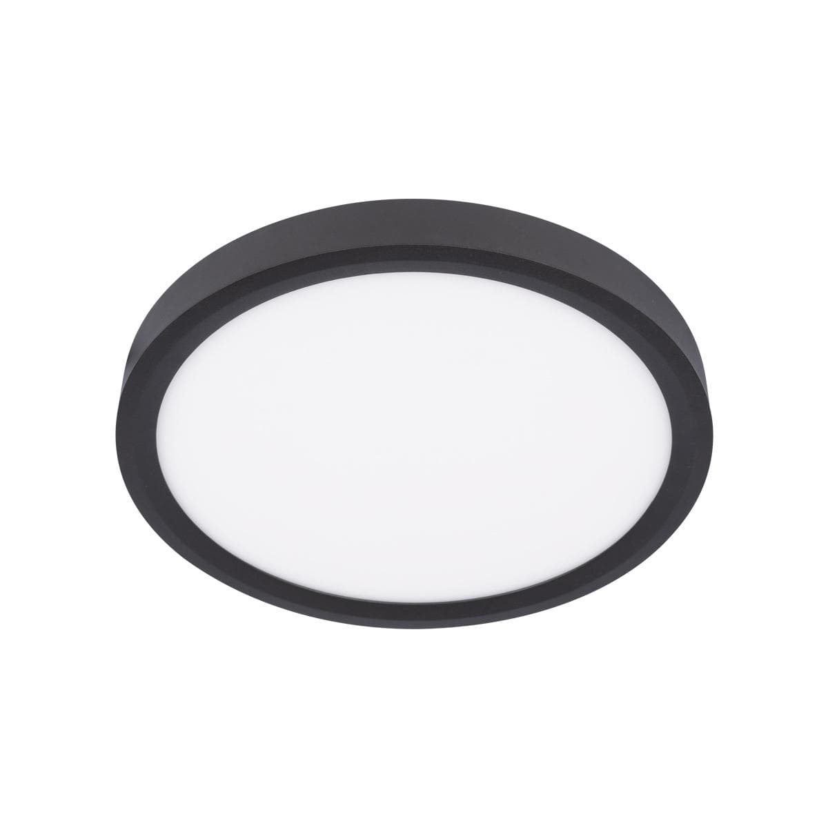 LOFT IT 10227/24 Black Потолочный светильник Extraslim