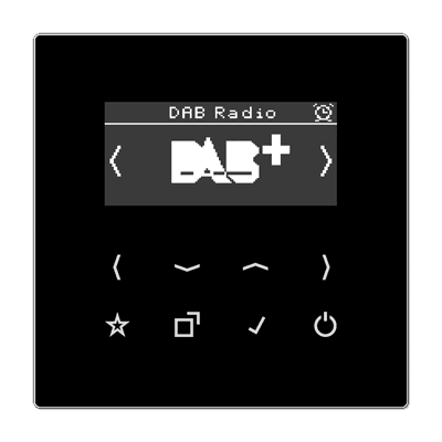 JUNG Цифровое радио DAB +, чёрный DABLSSW