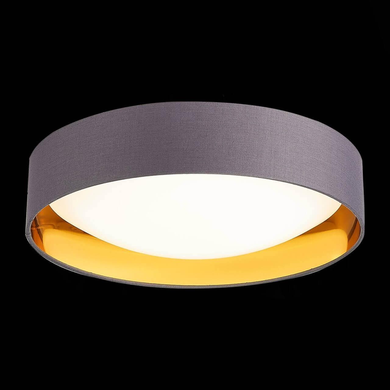 Evoluce SLE201112-01 Светильник потолочный Серый, Золото/Белый LED 1*24W 4000K — миниатюра 3