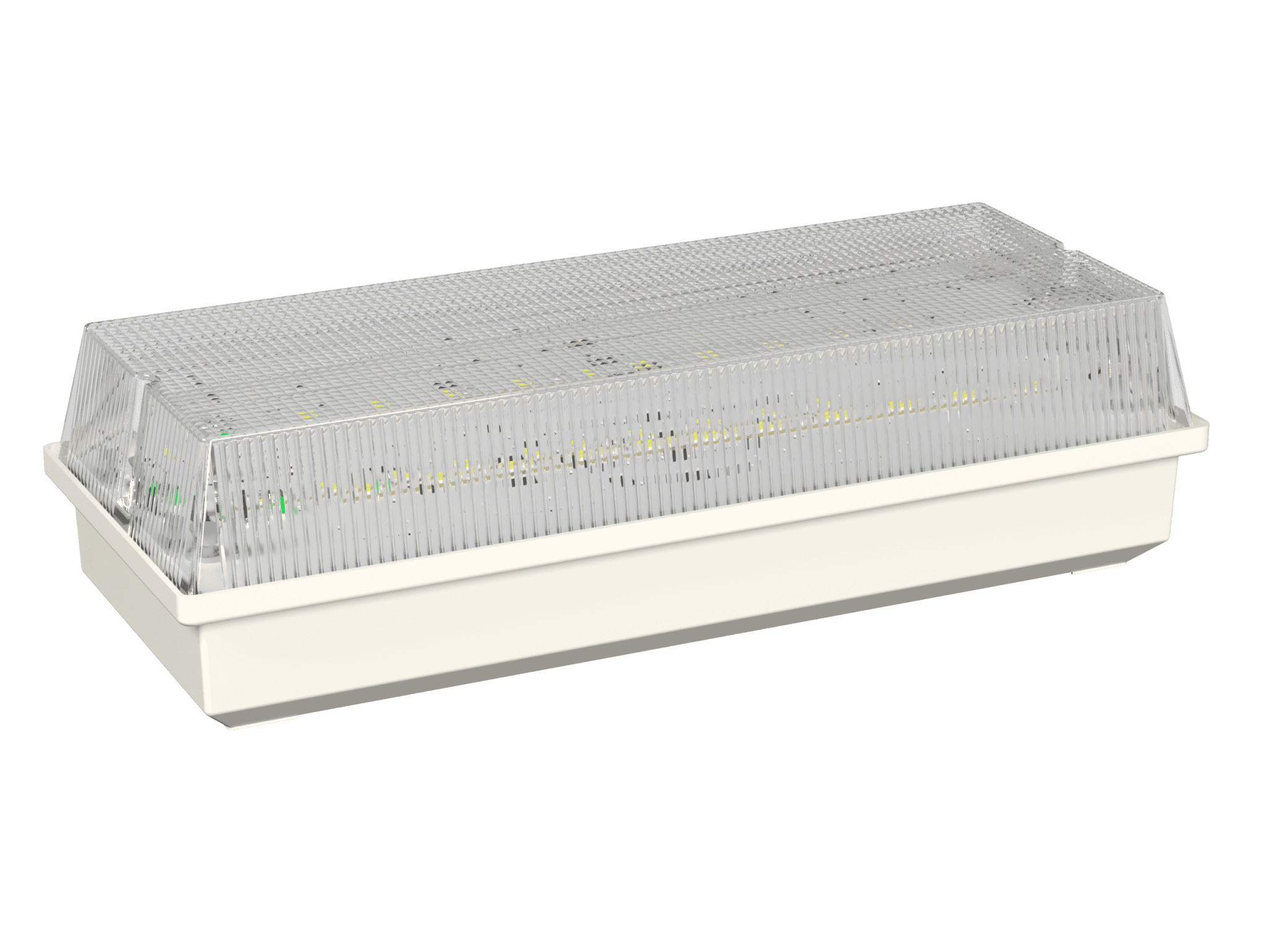 Белый свет Аварийный светильник BS-UNIVERSAL-10-L1-24 a15664 — миниатюра 2