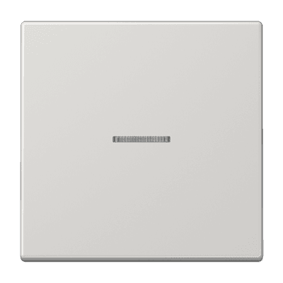JUNG Клавиша для KNX кнопки, 1 группа, с окошком дюропласт светло-серый LS101KO5LG