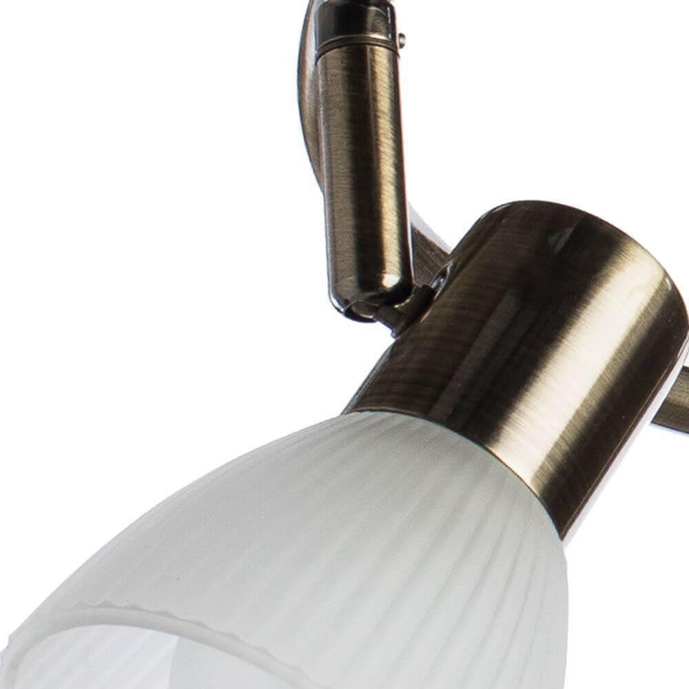 Arte Lamp Parry Бронза/Белый Спот 3x40W 3xE14 A5062PL-3AB — миниатюра 2