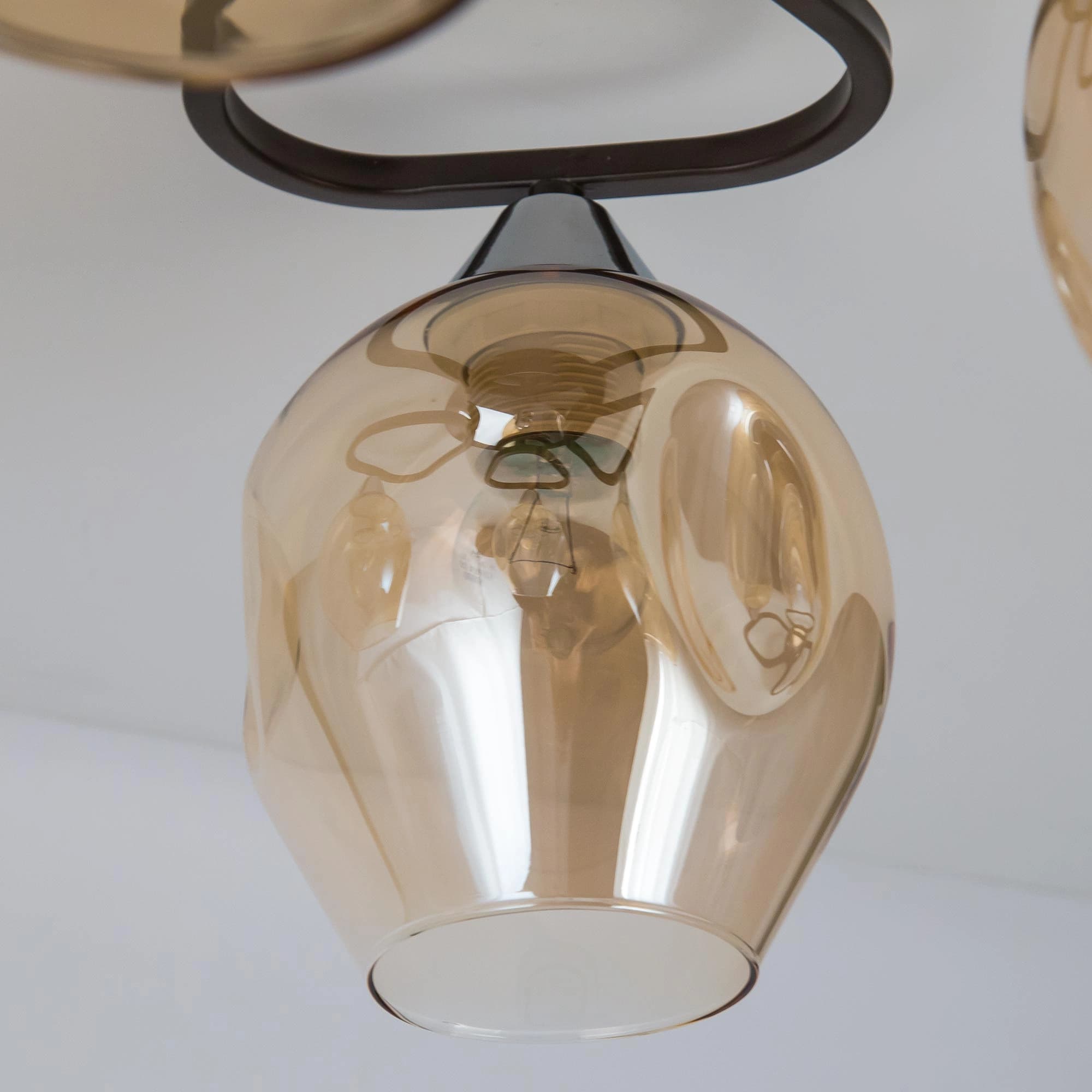Citilux CL468141 Балатон Кофейный Люстра — миниатюра 7