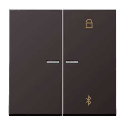 JUNG Таймер универсальный Bluetooth, Dark AL1751BTD