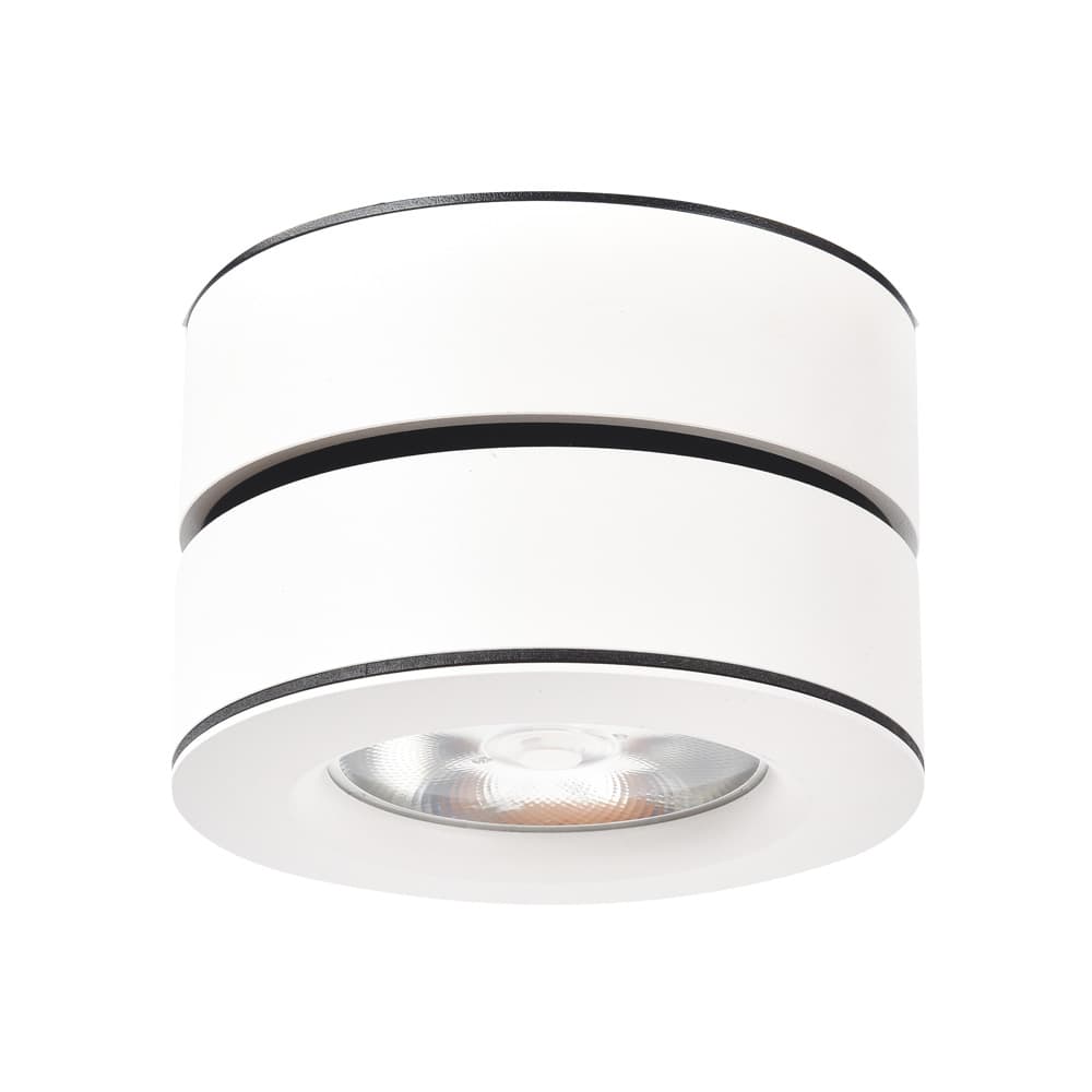 Arte Lamp VELA Потолочные светильники A2511PL-1WH