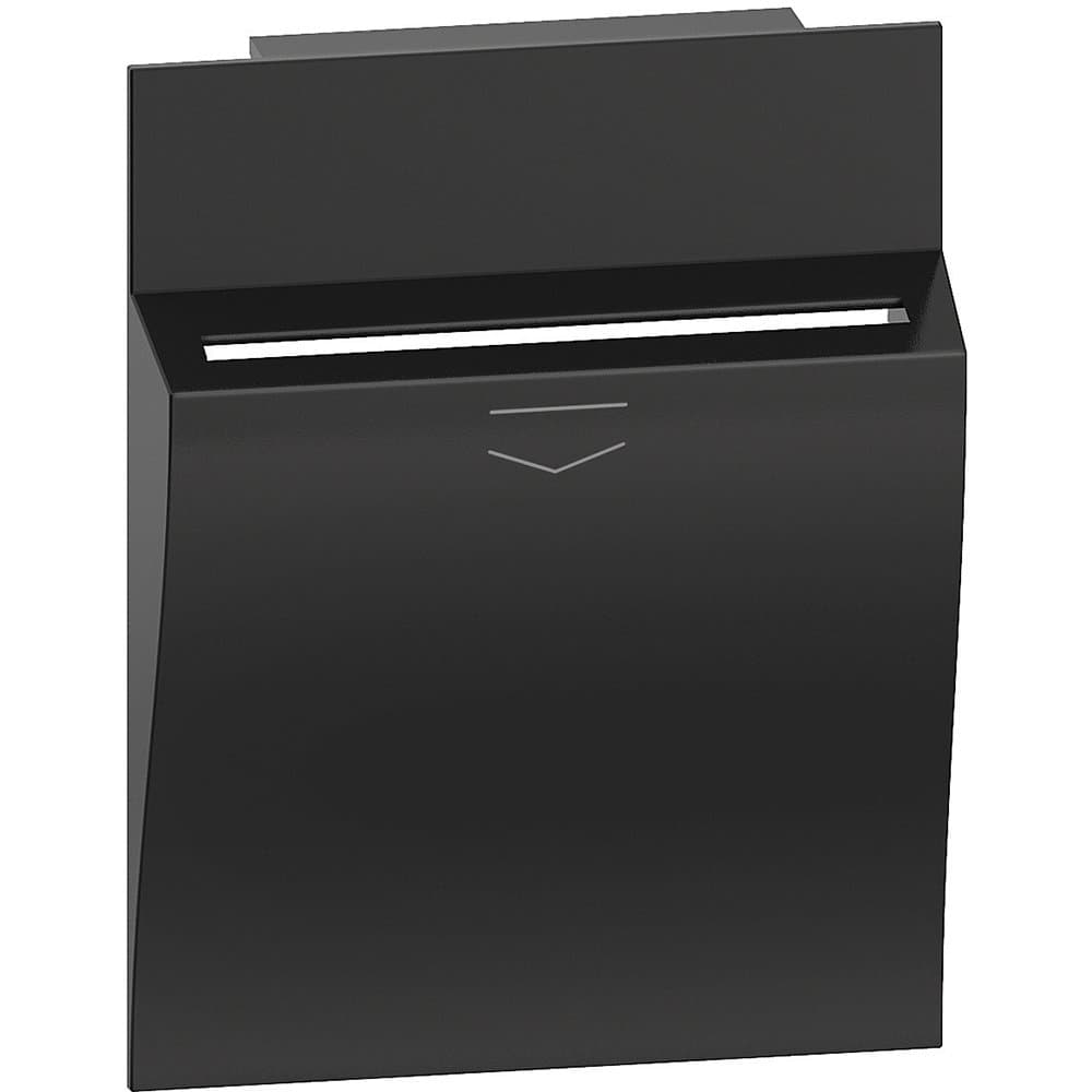 BT Living now Черный Лицевая панель для карточного выключателя 2 мод KG22M2