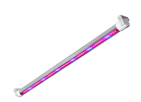 ЗСП Fito Base LED-20-204 1009020204