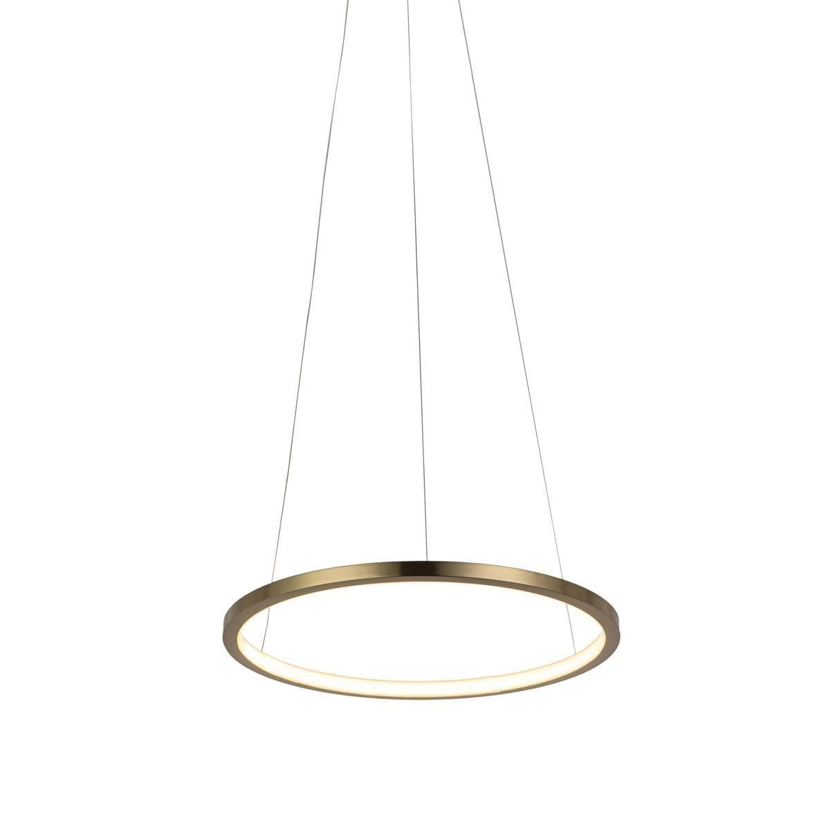 LOFT IT 10014S Светильник подвесной Ring, шт — миниатюра 2