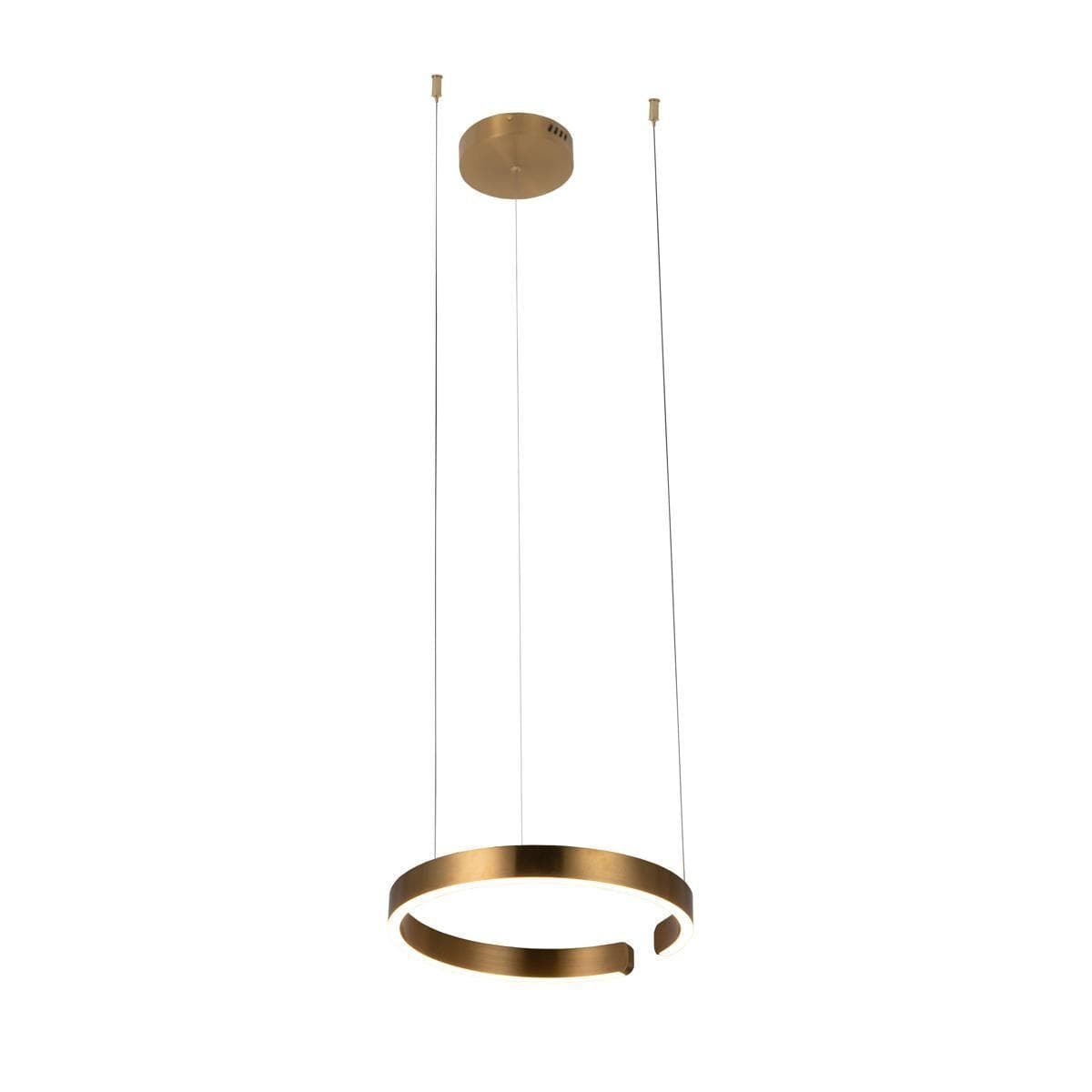 LOFT IT 10013S Светильник подвесной Ring, шт — миниатюра 1