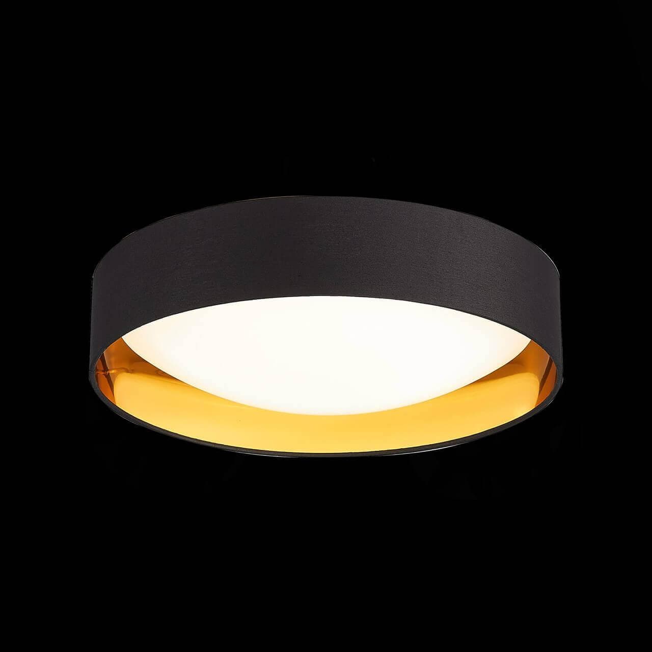 Evoluce SLE201102-01 Светильник потолочный Черный, Золото/Белый LED 1*24W 4000K — миниатюра 3