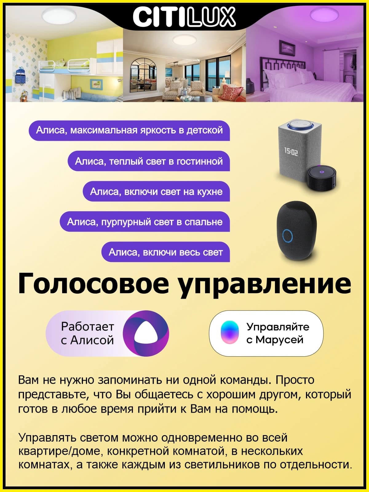 Citilux CL718A60G Альпина Смарт Светильник — миниатюра 2