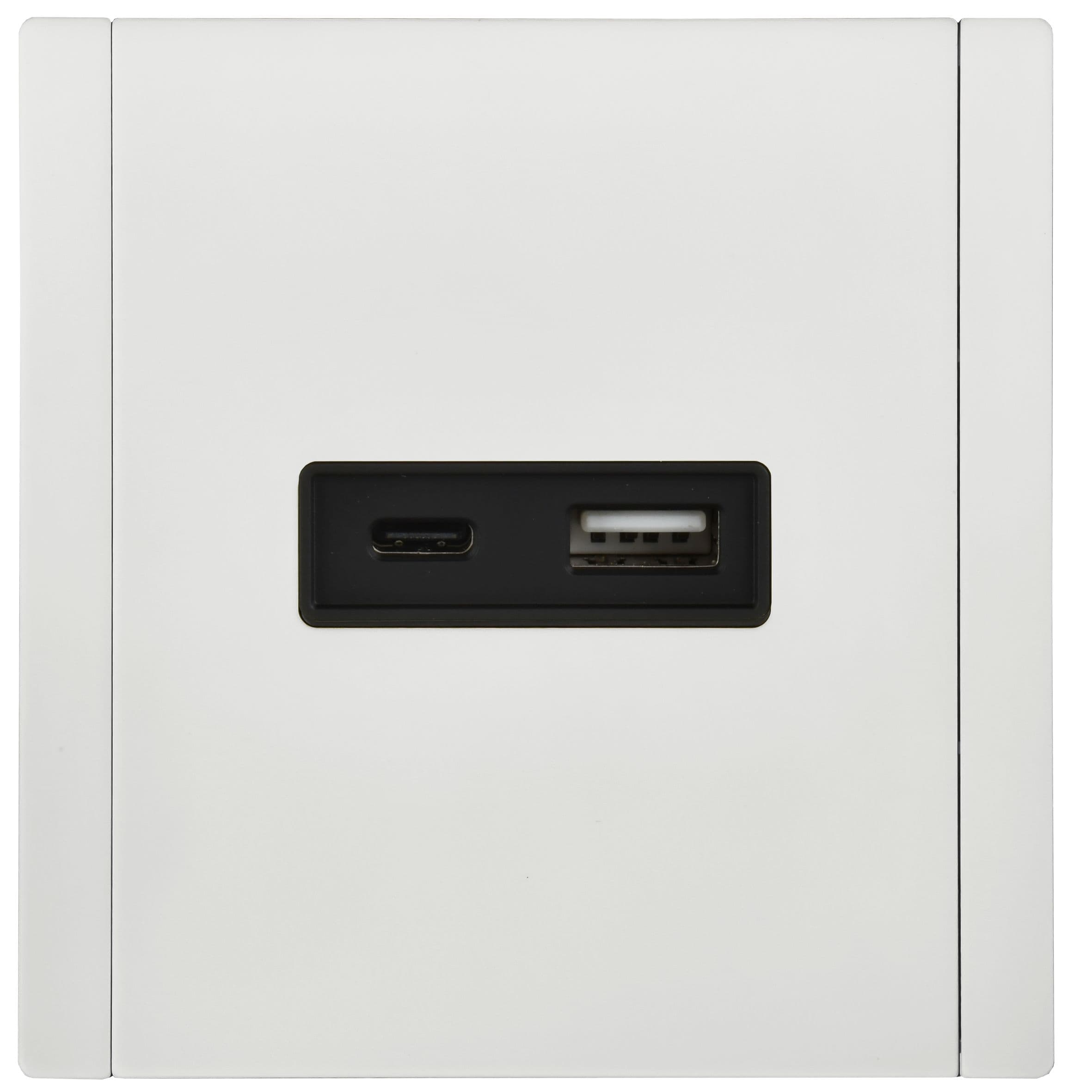 IEK FORTE&PIANO Металл Белый Розетка USB A+C 18Вт FP251M — миниатюра 2