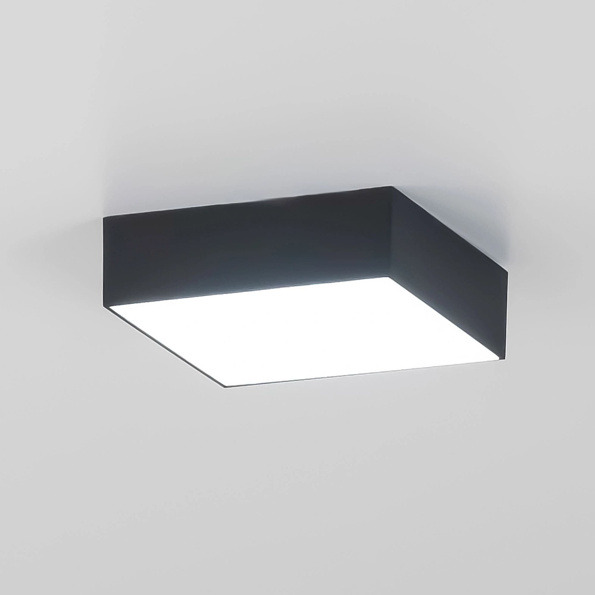 Citilux CL712X122N Тао Черный Светильник Накл. LED 12W*4000K — миниатюра 5