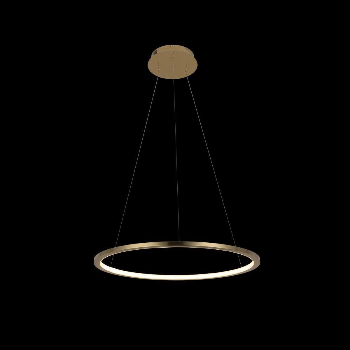 LOFT IT 10014M Светильник подвесной Ring, шт — миниатюра 4