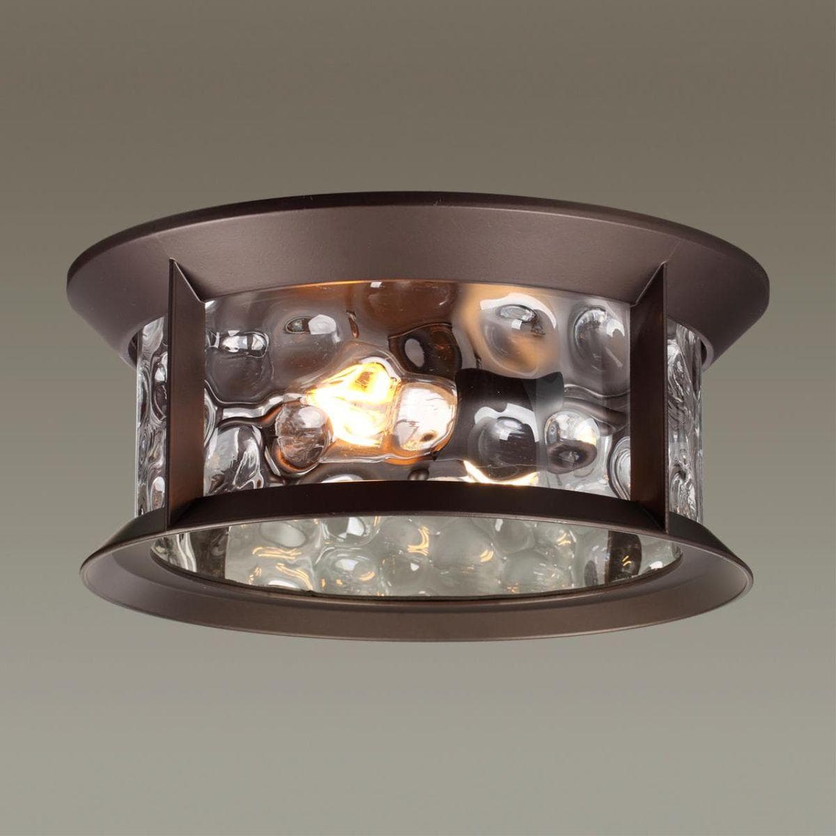 Odeon Light 4961/2C NATURE ODL22 577темно-коричневый/стекло Ландшафтный потолочный светильник E27 2*60W IP44 MAVRET — миниатюра 4