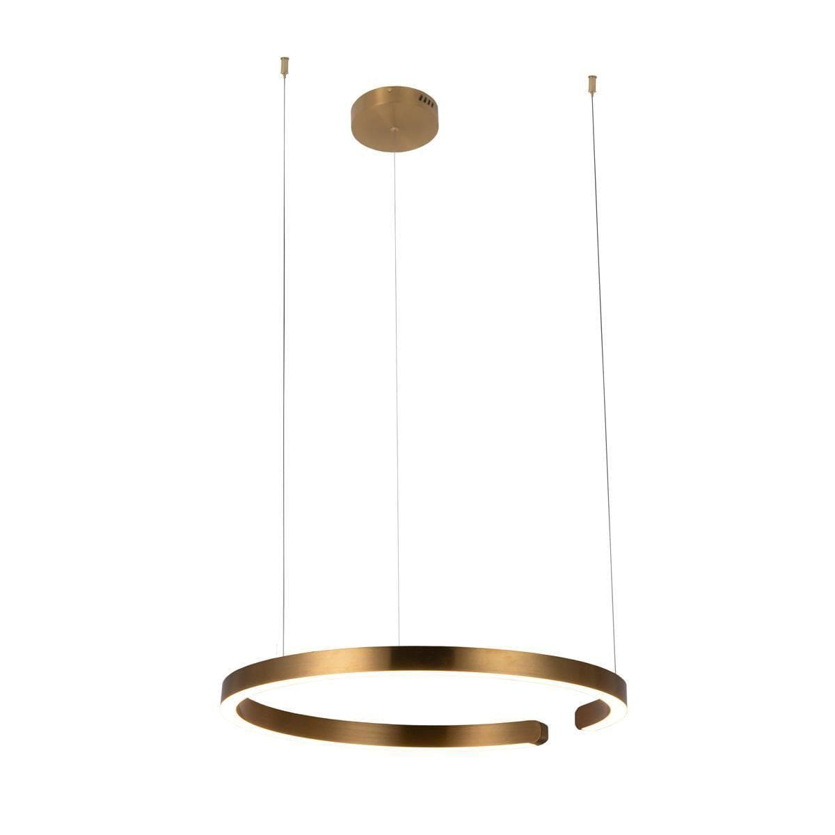 LOFT IT 10013L Светильник подвесной Ring, шт — миниатюра 1