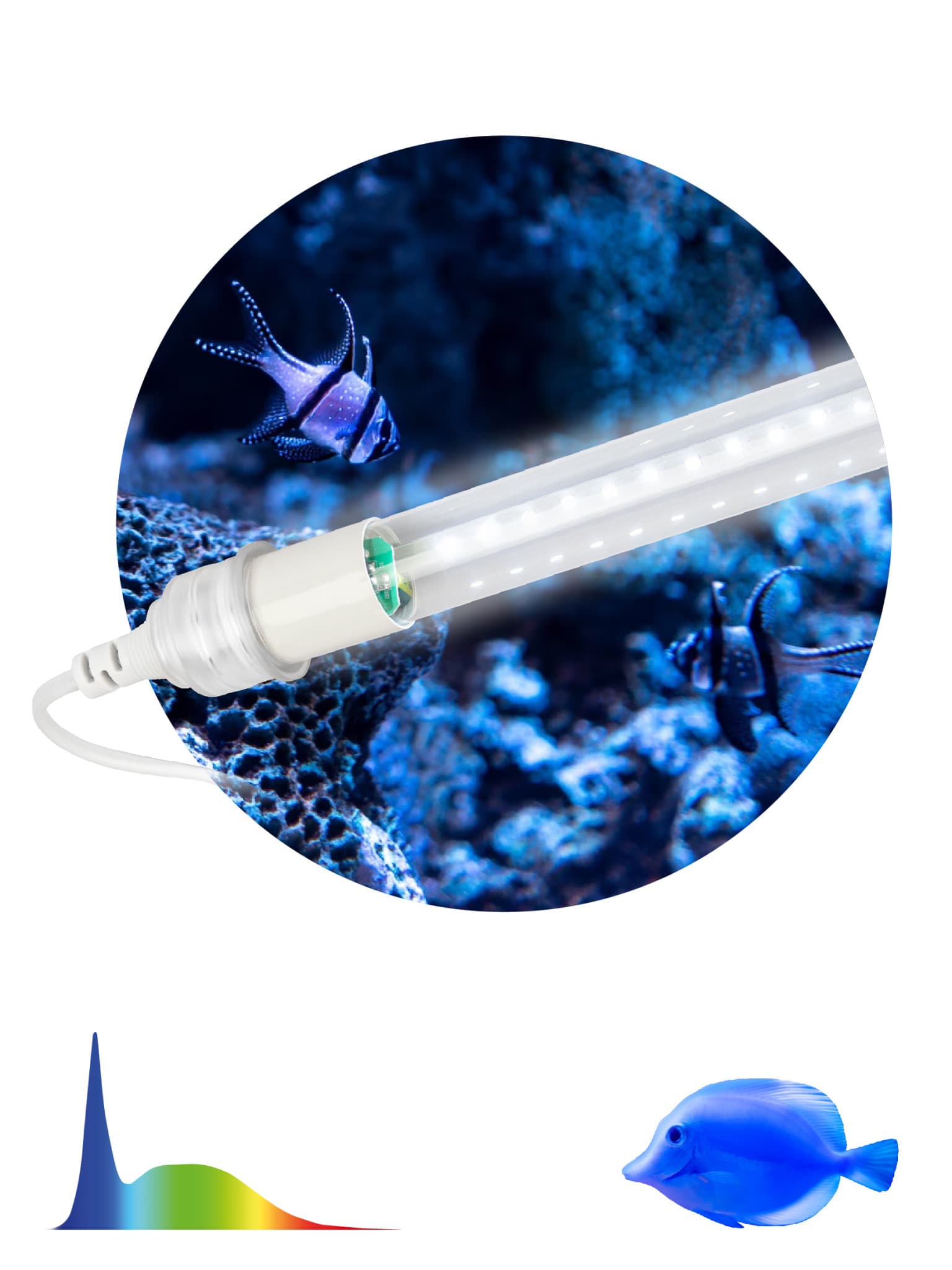 ЭРА Фитолампа для растений светодиодная ЭРА FITO-10W-Ra90-Т8-AQUA для аквариума, 10 Вт, полный спектр