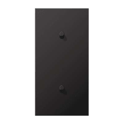 JUNG LS1912 Dark Центральная плата, 2 поста, для вертикальной установки, тумблеры 1+1,цилиндр; метал. исполнение AL12-20DR01