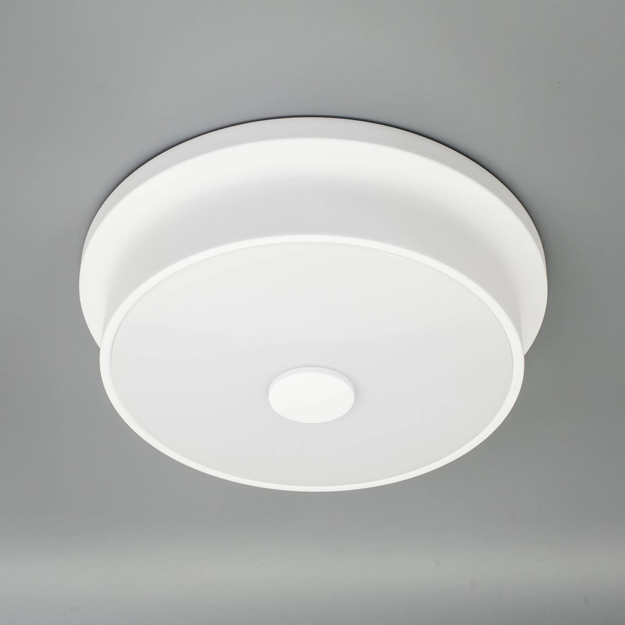 Citilux CL706210 Фостер-2 Белый Светильник Наст.-Потол — миниатюра 3