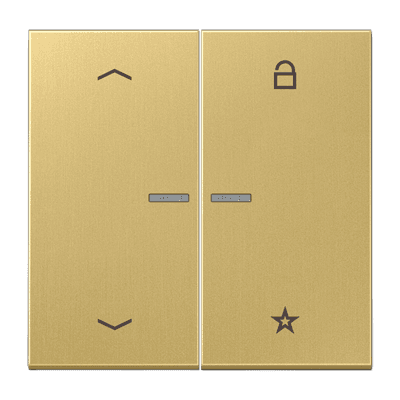 JUNG Центральная плата для вставок управления двигателями, латунь Classic ME1701PC