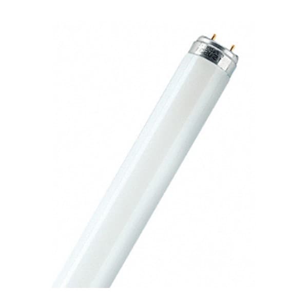 Osram T8 BASIC Лампа люминесцентная линейная 30Вт G13 4008321959706 — миниатюра 1