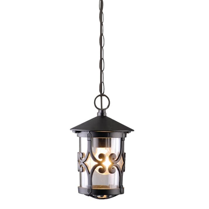 Arte Lamp Persia Черный/Прозрачный Светильник уличный подвесной 1x75W E27