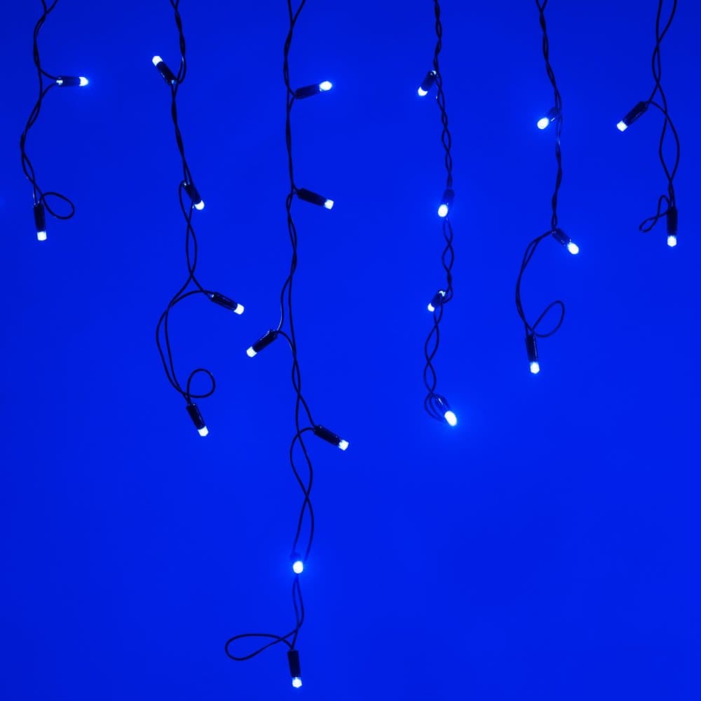 Arlight Светодиодная гирлянда ARD-EDGE-CLASSIC-2400x600-BLACK-88LED-STD BLUE (230V, 6W) (Ardecoled, IP65) 026009 — миниатюра 1
