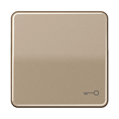 JUNG CD 500/CD plus Бронза Клавиша 1-ая с символом КЛЮЧ CD590TGB