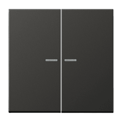 JUNG Клавиша для KNX кнопки, 2 группы, с окошком металл антрацит AL102KO5AN