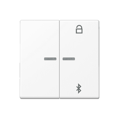 JUNG A Flow/A 550 Белый матовый Таймер универсальный Bluetooth A1751BFBTWWM