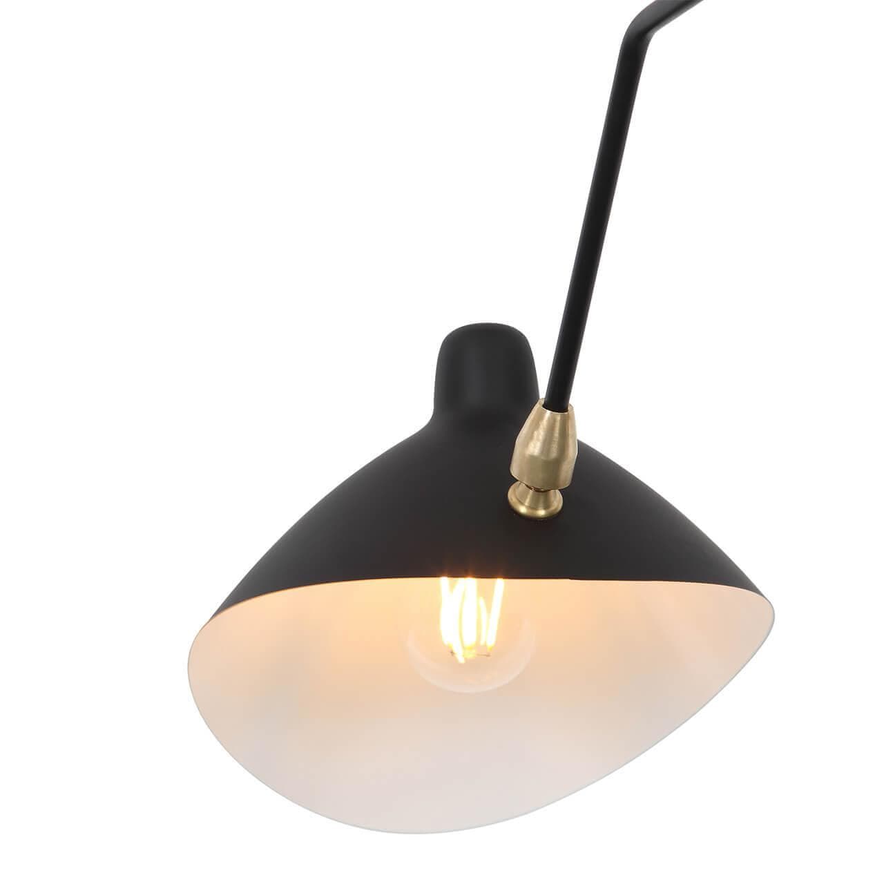 ST LUCE SL305.402.06 Люстра потолочная Черный/Черный, Белый E27 6*60W — миниатюра 4