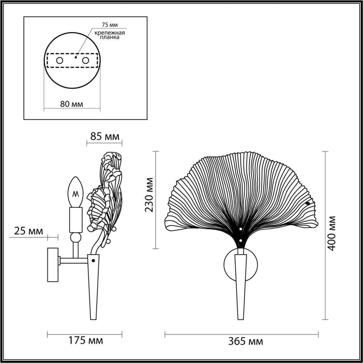 Odeon Light 4870/1W HALL ODL_EX22 15 золотой/черный/стекло Бра E14 1*40W VENTAGLIO — миниатюра 2