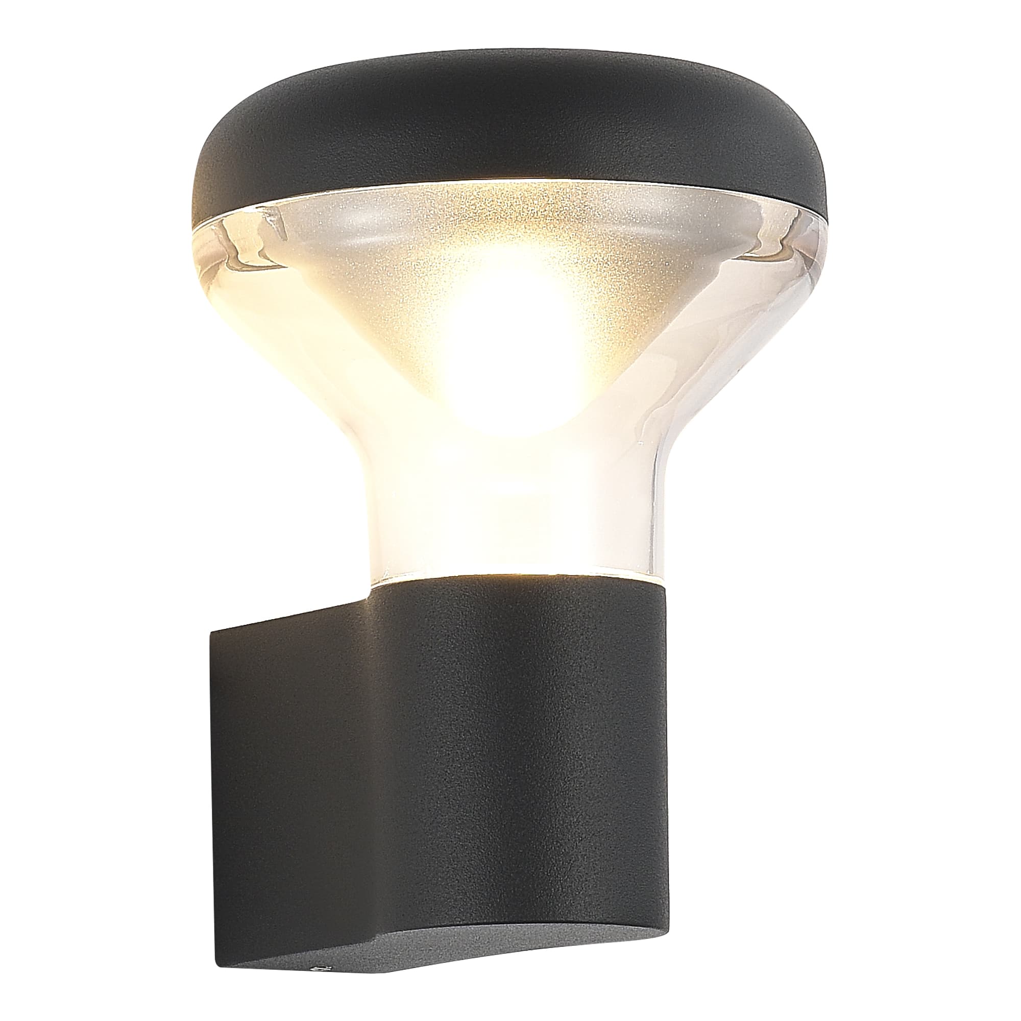 ST LUCE SL9541.701.01 Светильник настенный темно-серый/прозрачный LED 1*6W 3000K