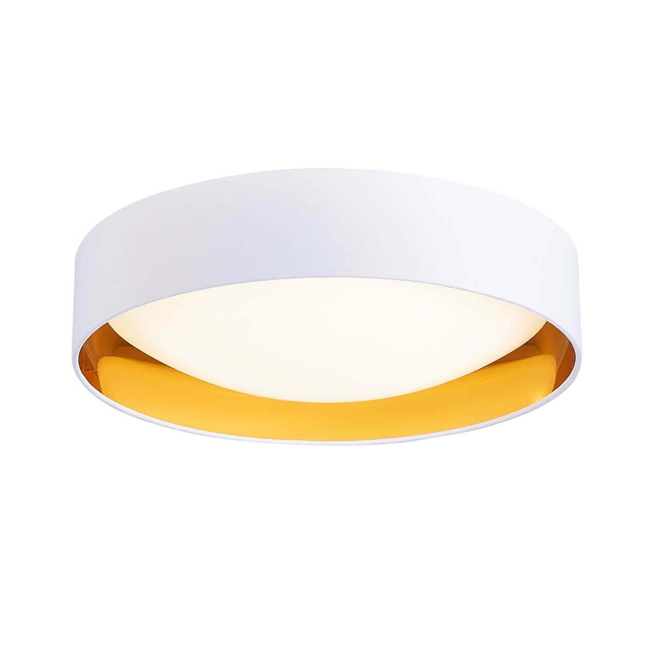 Evoluce SLE201122-01 Светильник потолочный Белый, Золото/Белый LED 1*24W — миниатюра 2