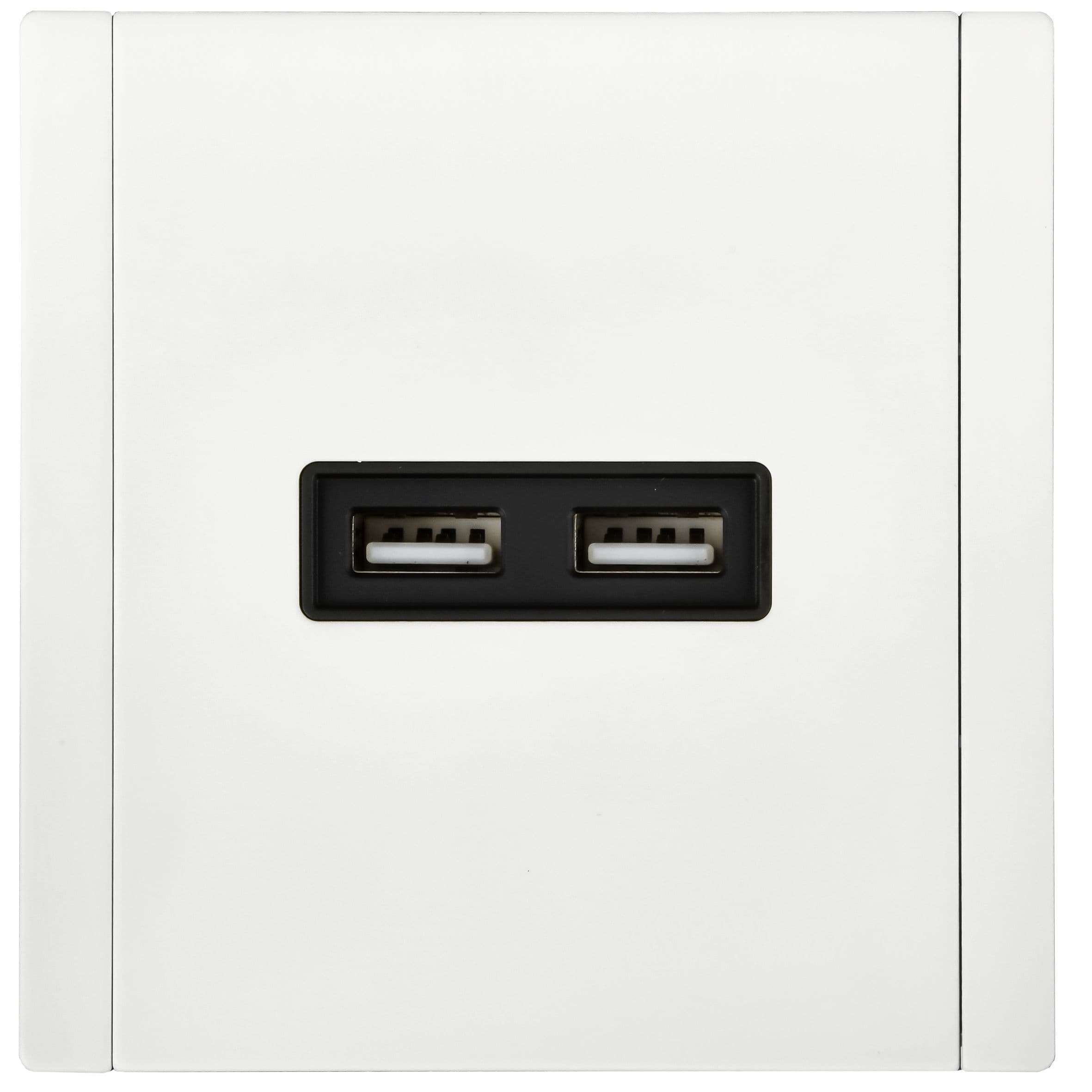 IEK FORTE&PIANO Металл Белый Розетка USB A+A 3,1А FP249M — миниатюра 2