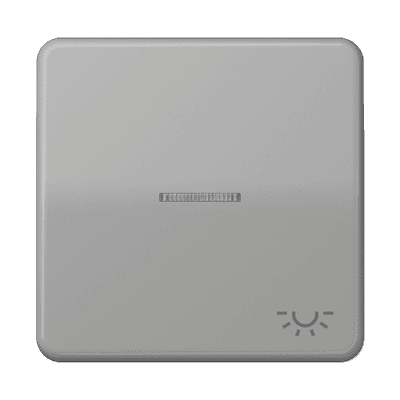 JUNG CD 500/CD plus Серая Клавиша 1-ая с/п с символом ОСВЕЩЕНИЕ CD590KO5LGR