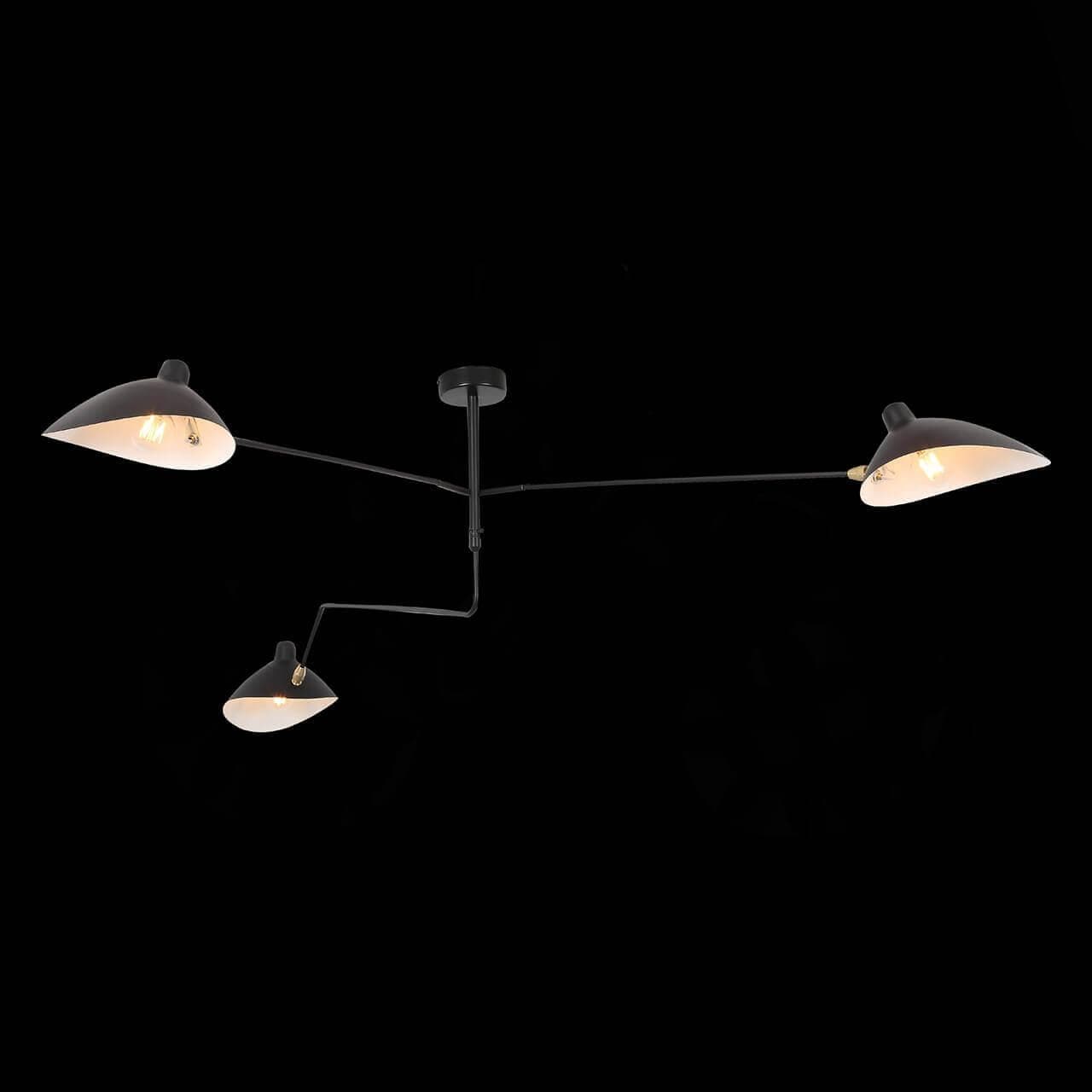 ST LUCE SL305.402.03 Люстра потолочная Черный/Черный, Белый E27 3*60W — миниатюра 2