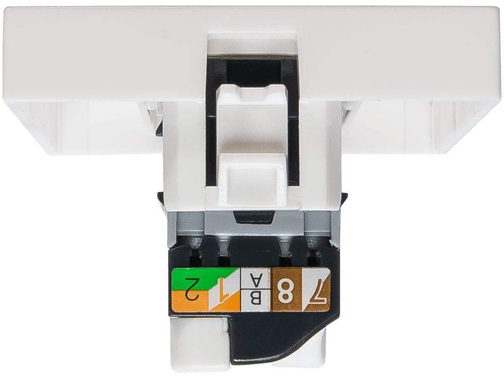 SPL Розетка информационная UTP 1хRJ45 45х45 cat5е 200007 — миниатюра 3