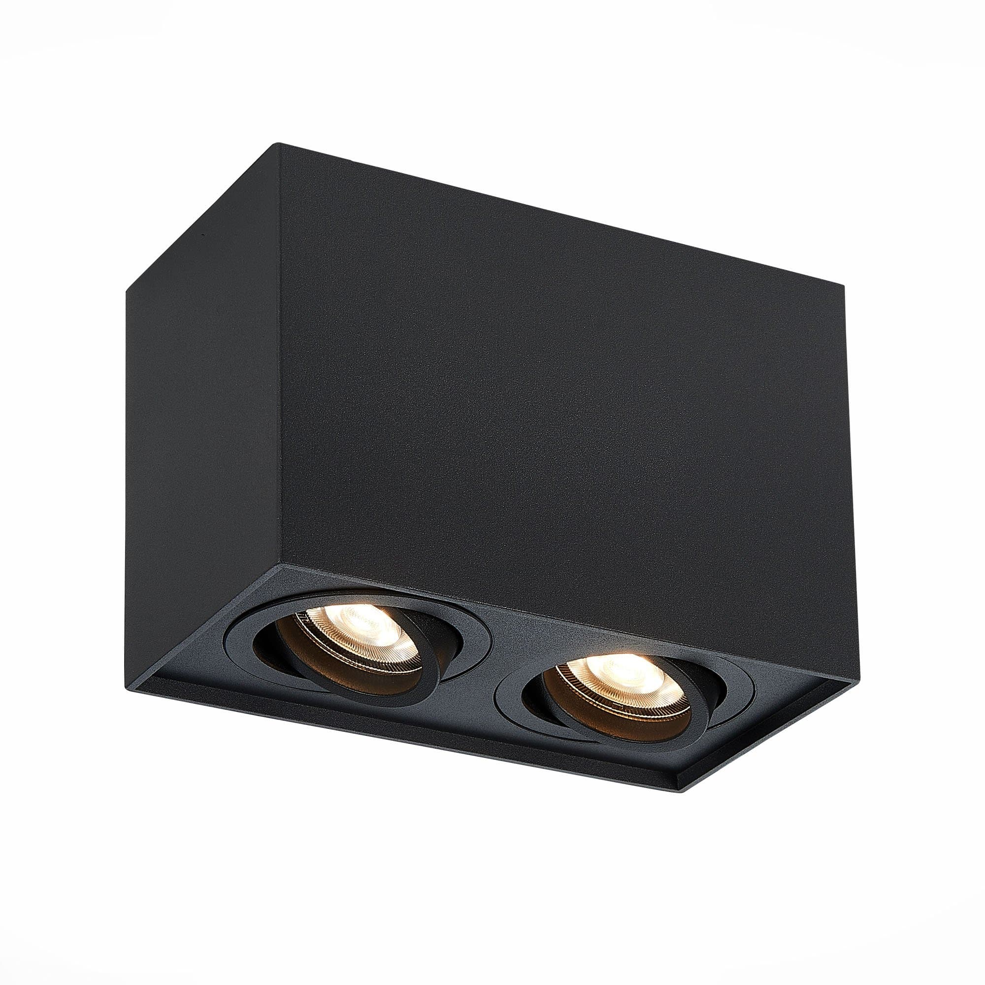 ST LUCE ST109.407.02 Светильник потолочный Матовый черный GU10 2*50W L181xW100xH123 220V без ламп