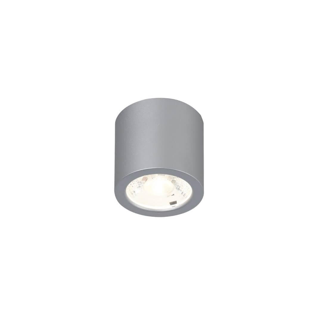 Favourite 2808-1C Deorsum Потолочный светильник D65*H60, 1*LED*7W, 560LM, 4000K, included