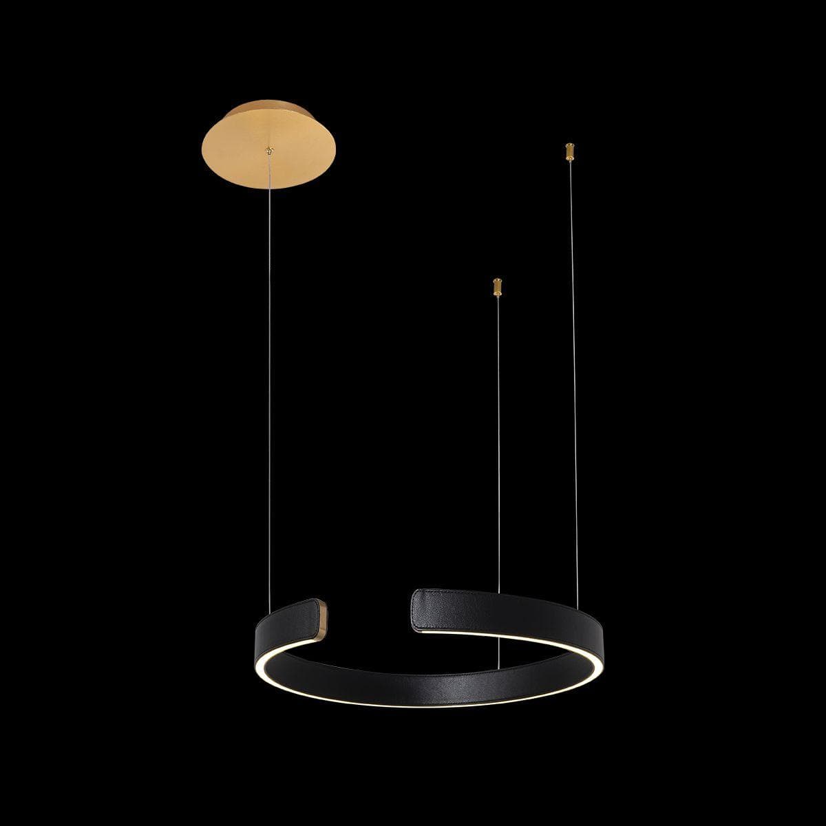 LOFT IT 10025/400 Black Светильник подвесной Ring, шт — миниатюра 4