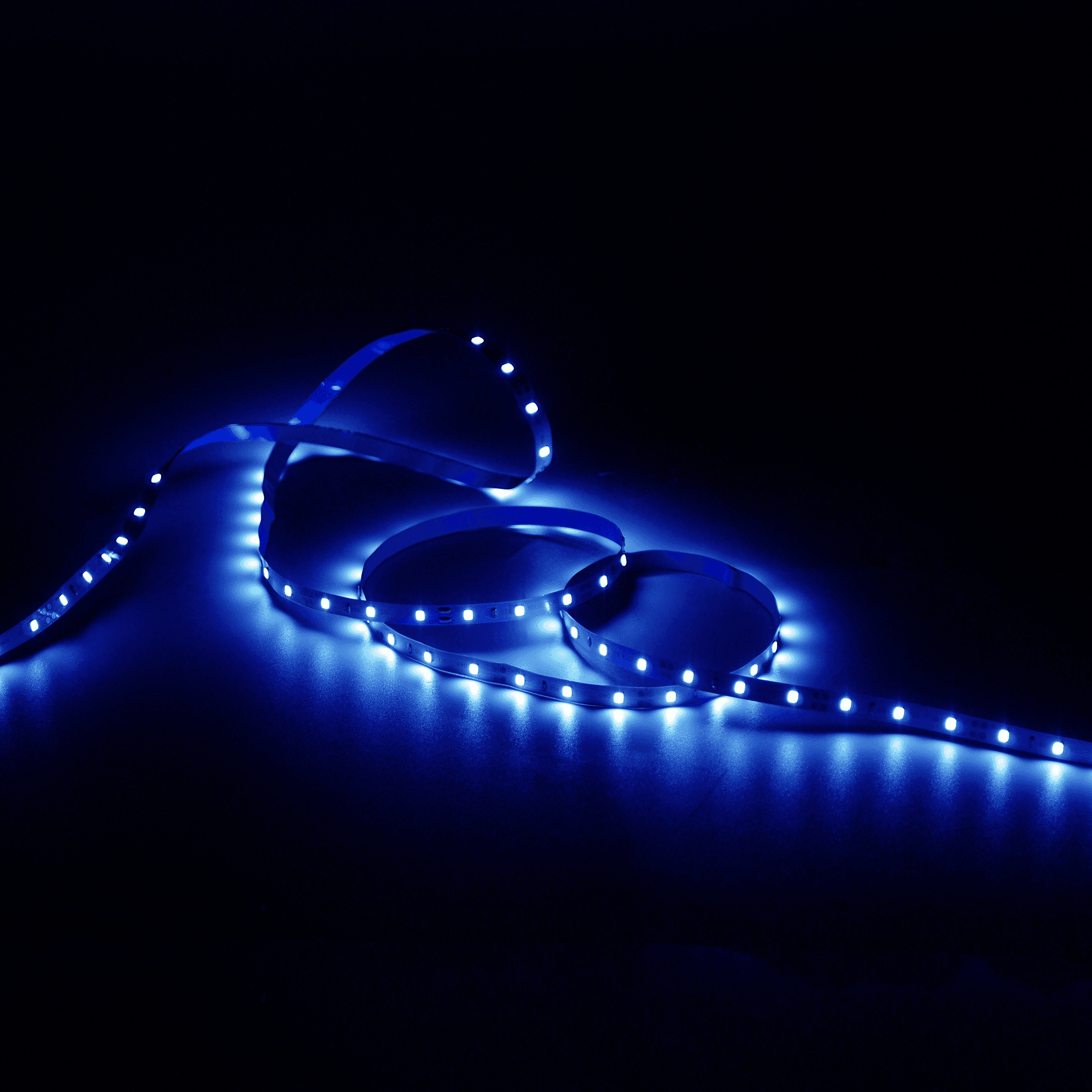 Gauss Лента LED Elementary 2835 -SMD 4.8W 12V DC синий IP20 (ZIP Bag 5м) 355000505 — миниатюра 10