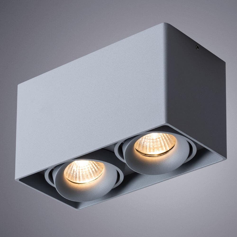 Arte Lamp A5654PL-2GY Светильник потолочный — миниатюра 3